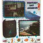 Monterey Bay (L)