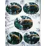 Michelle's ABC Zoo Album - Page 22